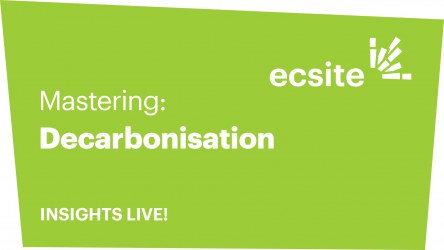 Green coloured square with the words "mastering decarbonisation - Insights Live"