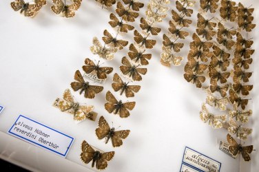 The Natural History Museum of Geneva is hosting #Ecsite2018