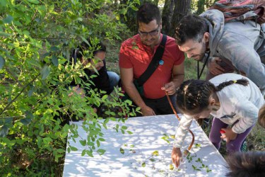 BioBlitzBcn 15-17 April 2016 participants, identifying species at the Montjuïc Hill and the adjacent Botanical Garden, in an event hosted by the Natural Sciences Museum in Barcelona