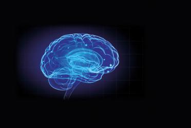 Learn all about your brain in Life's new Brain Zone 