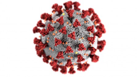Coronavirus ©Alissa Eckert, MS; Dan Higgins, MAMS