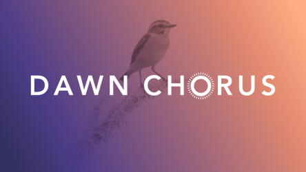 The Dawn Chorus initiative