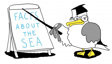 Sea Change - Increasing Ocean Literacy - Facts about the Sea