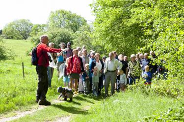 Outdoors activities organised by the Natural History Museum Aarhus, Denmark