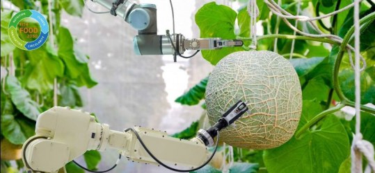 Image showing a robotic arm picking fruit