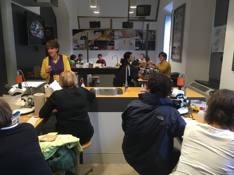 Teachers take part in a workshop on food systems at MUST's Open Day for teachers, 6 October 2018