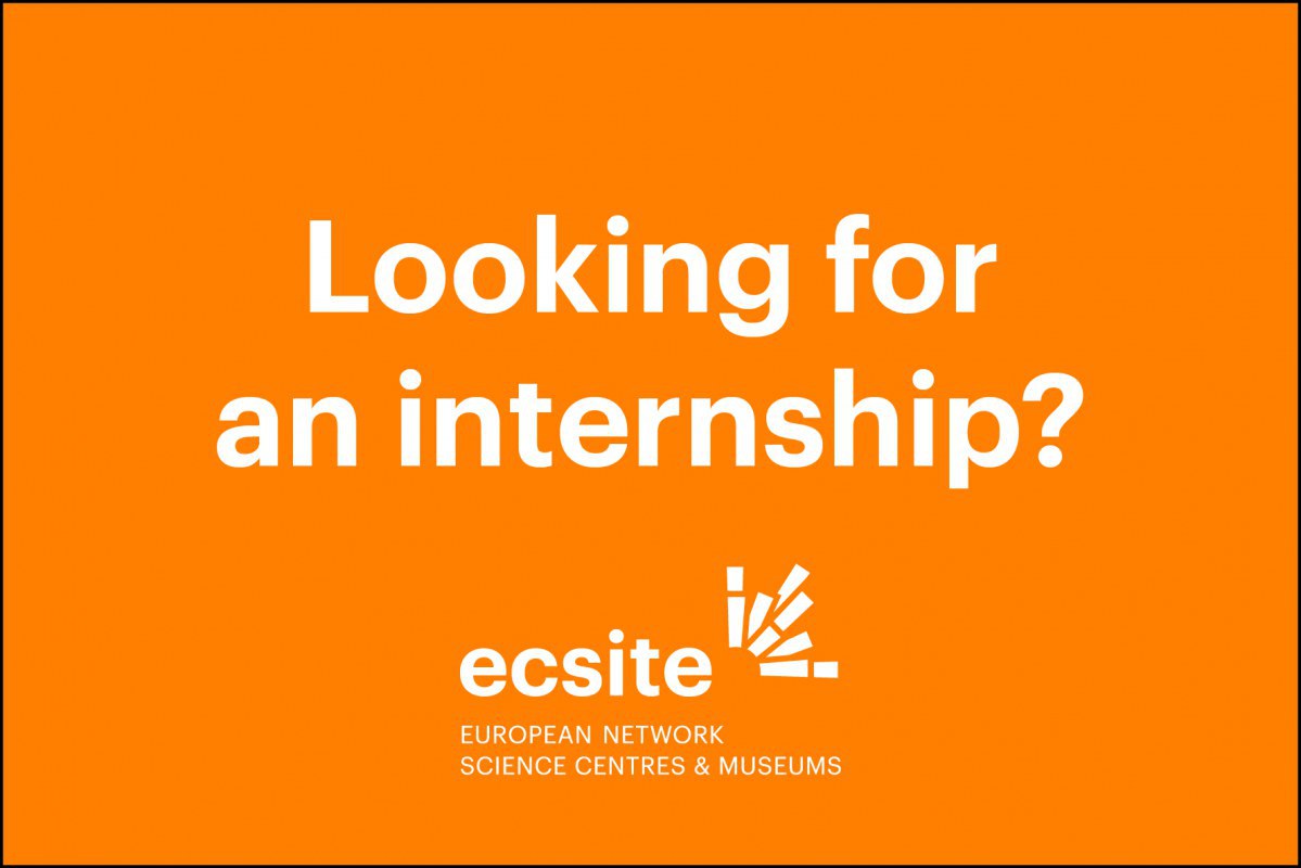 Ecsite internship