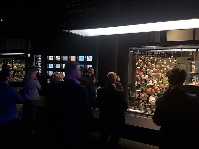 Visit of the Natural Sciences Museum of Barcelona, host of the 2018 Ecsite Directors Forum, Barcelona, Spain, November 2018