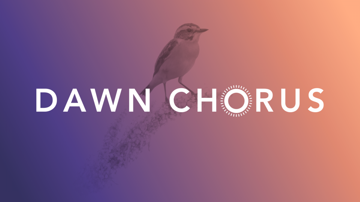 The Dawn Chorus initiative