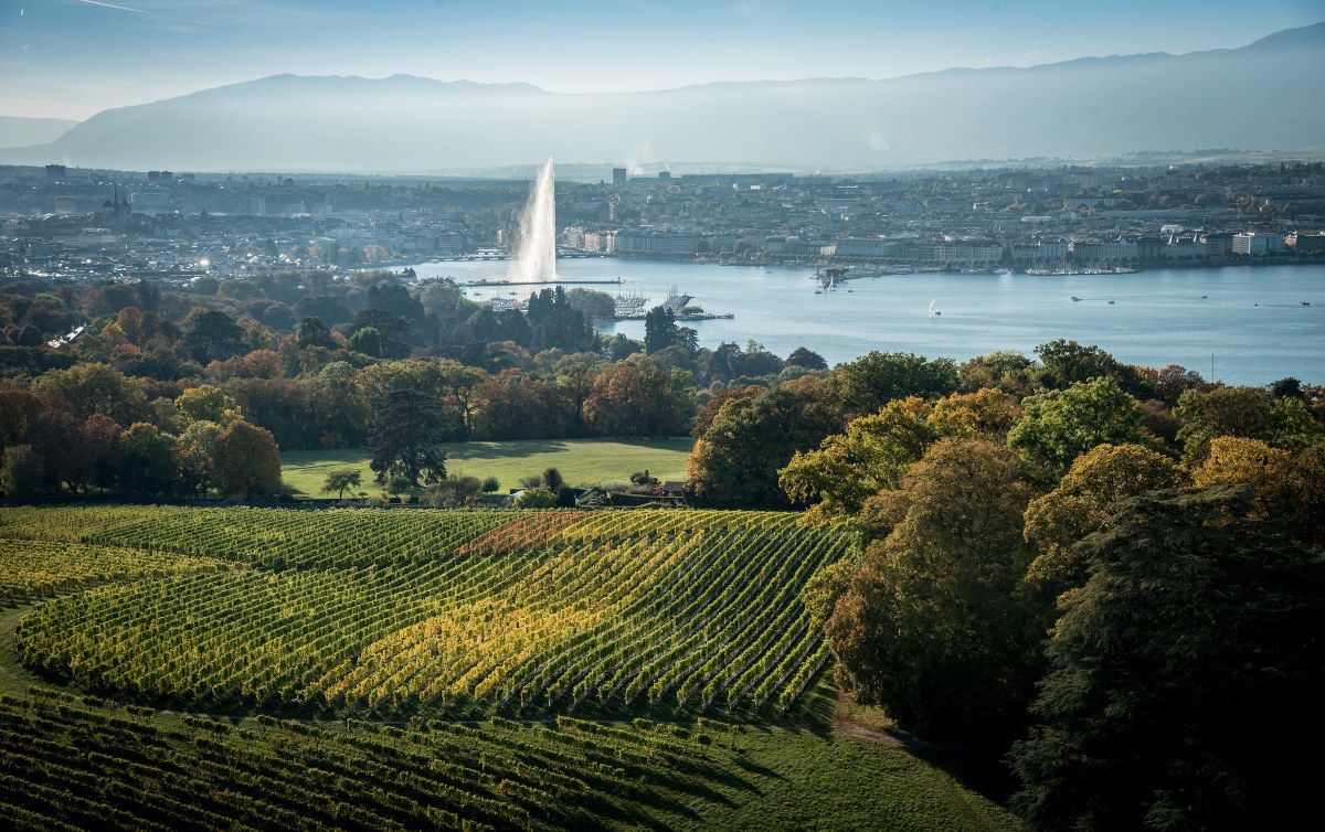 Geneva from the sky. Credits. Geneve Tourisme.jpg