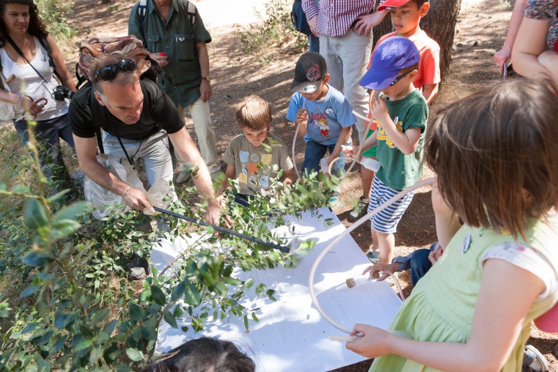 Fostering scientific skills: BioBlitzBcn in Barcelona (Spain), April 2016