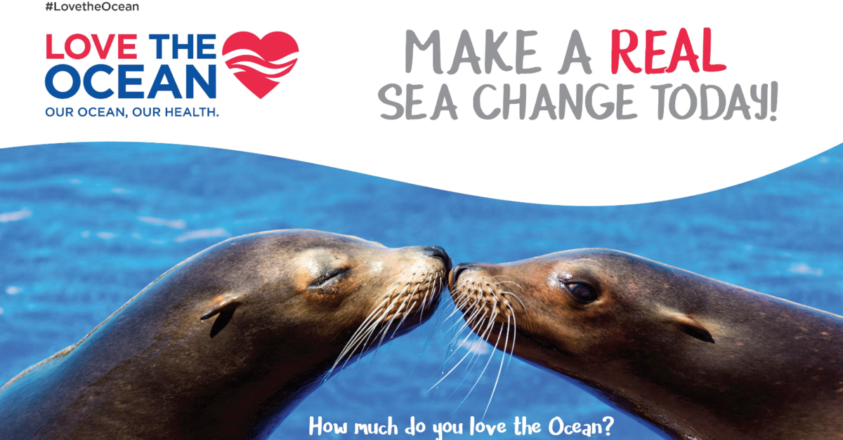 #LoveTheOcean - Make a Real Sea Change Today