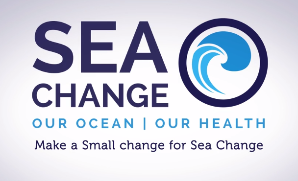 Sea Change video