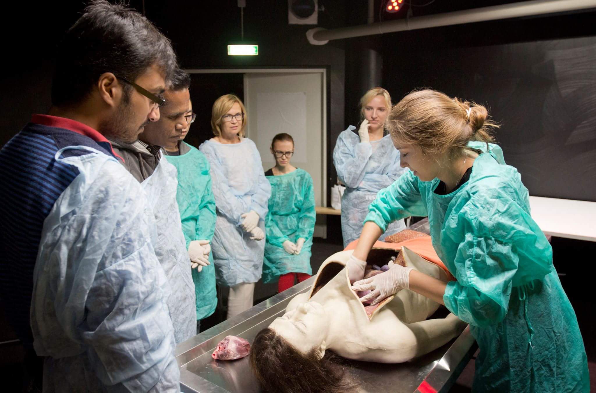 Life-sized and lifelike autopsy doll for a hands-on necropsy demonstration featuring also some real (pigs’) organs