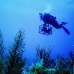 diver with camera swimming around OceanXplorer