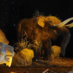 Ice Age - World Touring Exhibitions