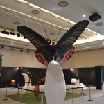 Insects - World Touring Exhibitions