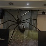Insects - World Touring Exhibitions