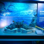 photo of Mysteries from the Deep