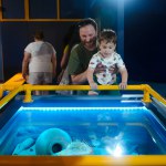 photo of Mysteries from the Deep