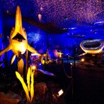 Monsters Of The Sea - World Touring Exhibitions