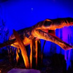 Monsters Of The Sea - World Touring Exhibitions