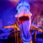Monsters Of The Sea - World Touring Exhibitions