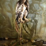 Mythos - World Touring Exhibitions