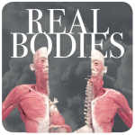 Real Bodies