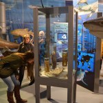 Sharks - World Touring Exhibitions