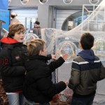 Sharks - World Touring Exhibitions