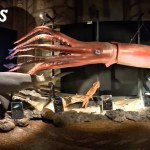 Abyss - World Touring Exhibitions