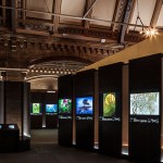 Wildlife Photographer of the Year - Backlit panels at the Natural History Museum, London