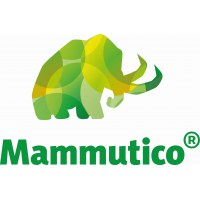 Mammutico® Big Blocks
