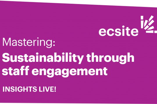 Purple coloured square with the words "mastering sustainability through staff engagement - Insights Live"
