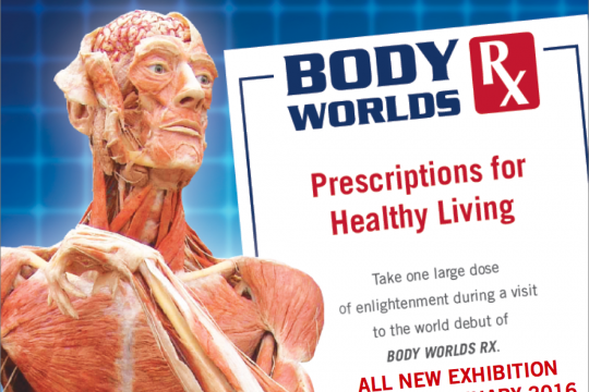 Impression of BODY WORLDS RX
