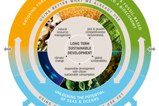 bioeconomy strategy graphic 