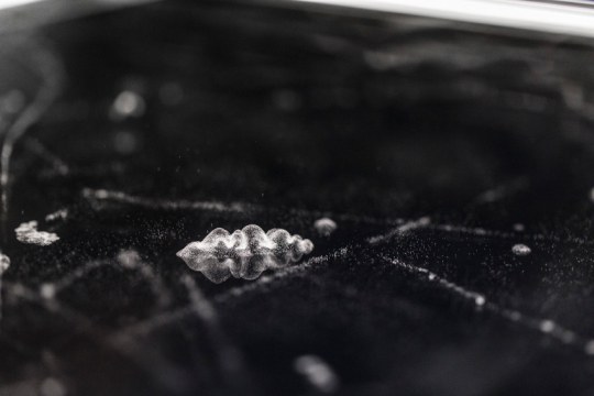 The Cloud Chamber is used to detect nuclear radiation by observing the traces of elementary particles. Designed by Scottish physicist Charles Wilson in 1900. Photo by Agata Steifer.