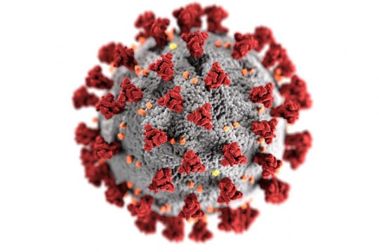Coronavirus ©Alissa Eckert, MS; Dan Higgins, MAMS