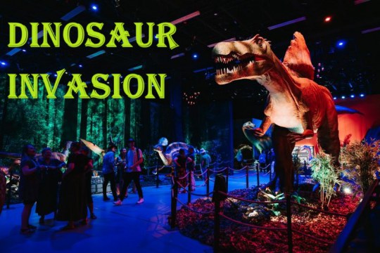 Dinosaur Invasion - World Touring Exhibitions