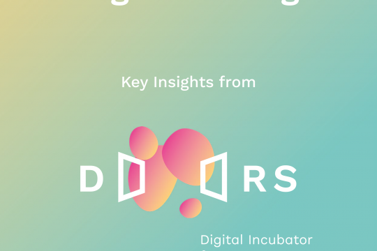 DOORS - Breaking the Digital Ceiling (Museums)