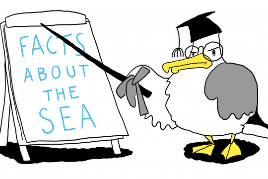 Sea Change - Increasing Ocean Literacy - Facts about the Sea