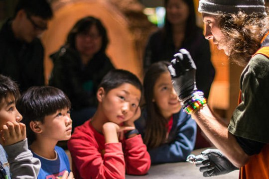 An Explainer at Exploratorium shares a dissecting cow eyeball with visitors