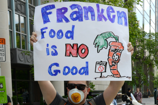 March Against Monsanto, Washington DC, USA, 24 May 2014.