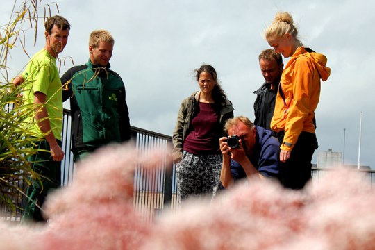 Action run by the Natural History Museum of Aarhus, Denmark, as part of the citizen science project "Rethink Urban habitats".