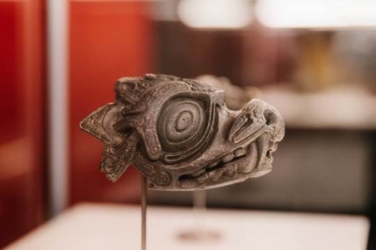 Animal head, terminal from harness bow, Bronze, 8,9 x 6,2 cm, NMD (National Museum of Denmark)