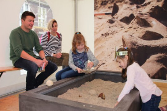 Figure 1: Family interacting with real objects during “Digging in the dinosaur era” workshop activity at Naturalis Biodiversity Center.