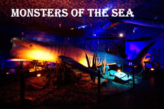 Monsters Of The Sea - World Touring Exhibitions