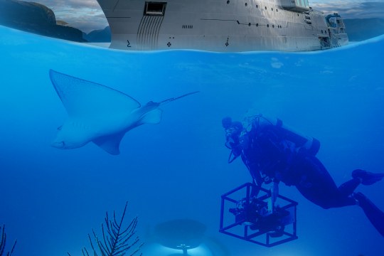 cover image of OceanXperience