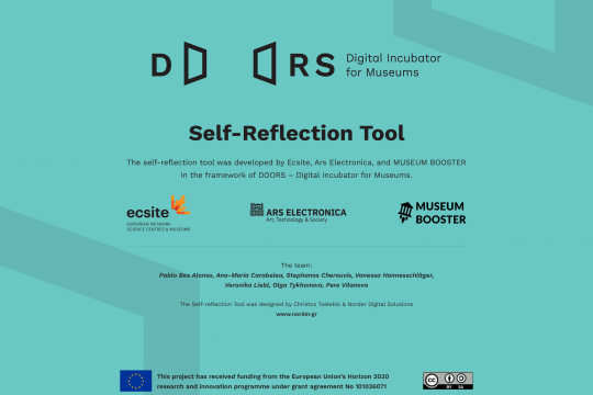 Tool for museums to assess the digital maturity